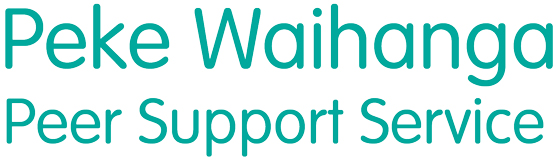 Peer Support Service